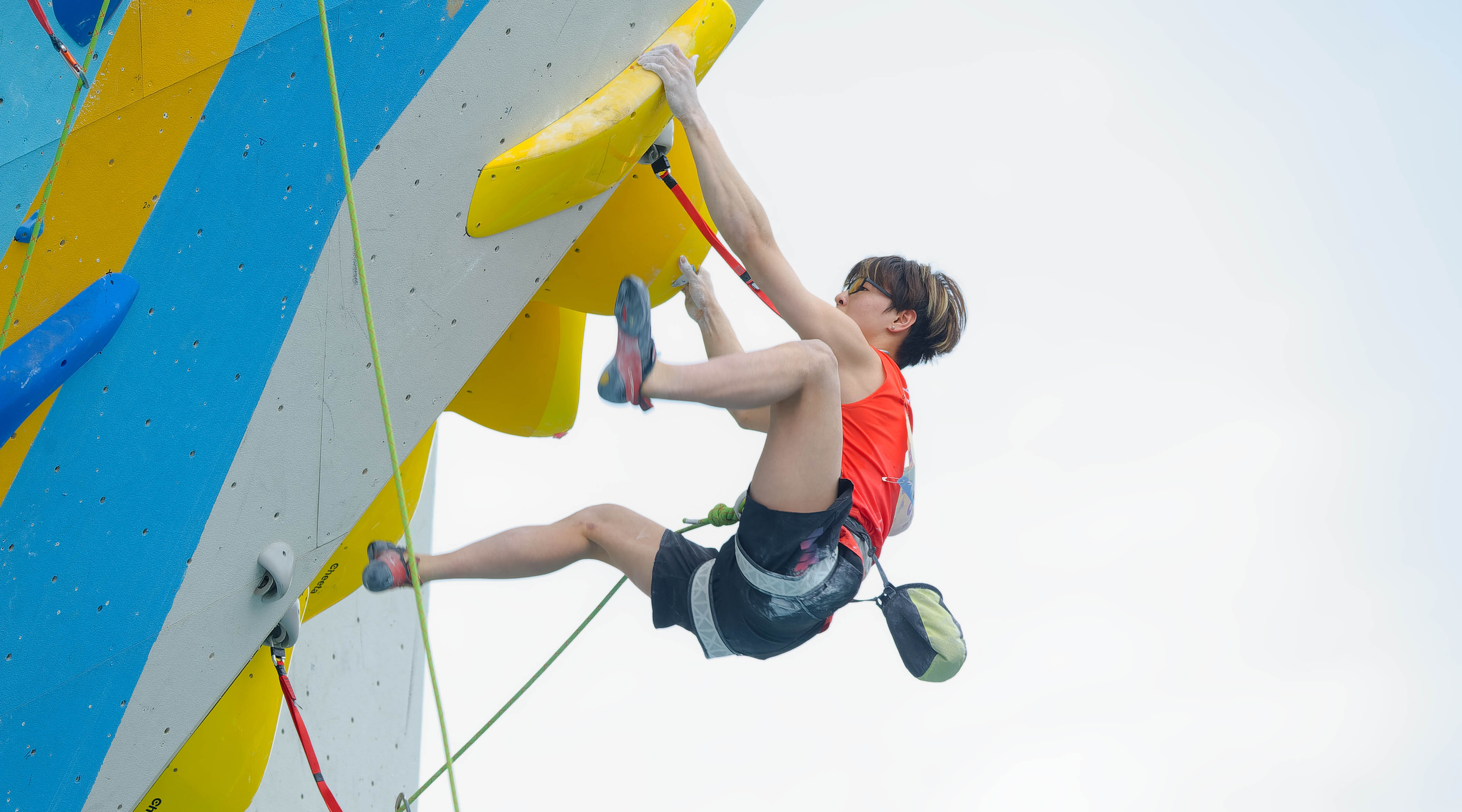 47 岁的王励勤官宣新身份，樊振东成赢家，原来一切早有预兆