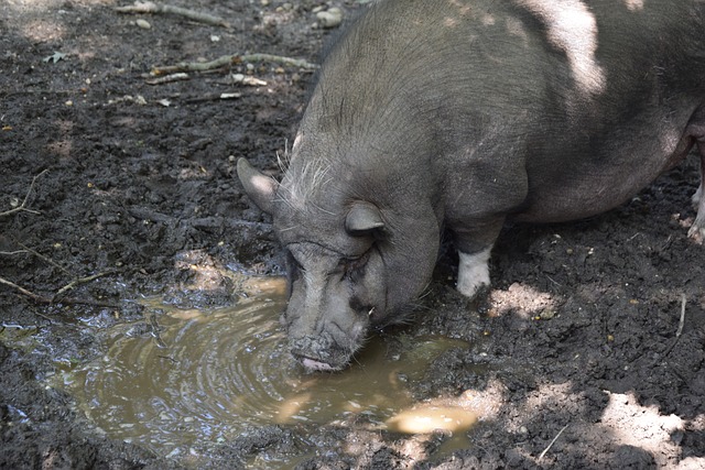 世预赛爆冷不断